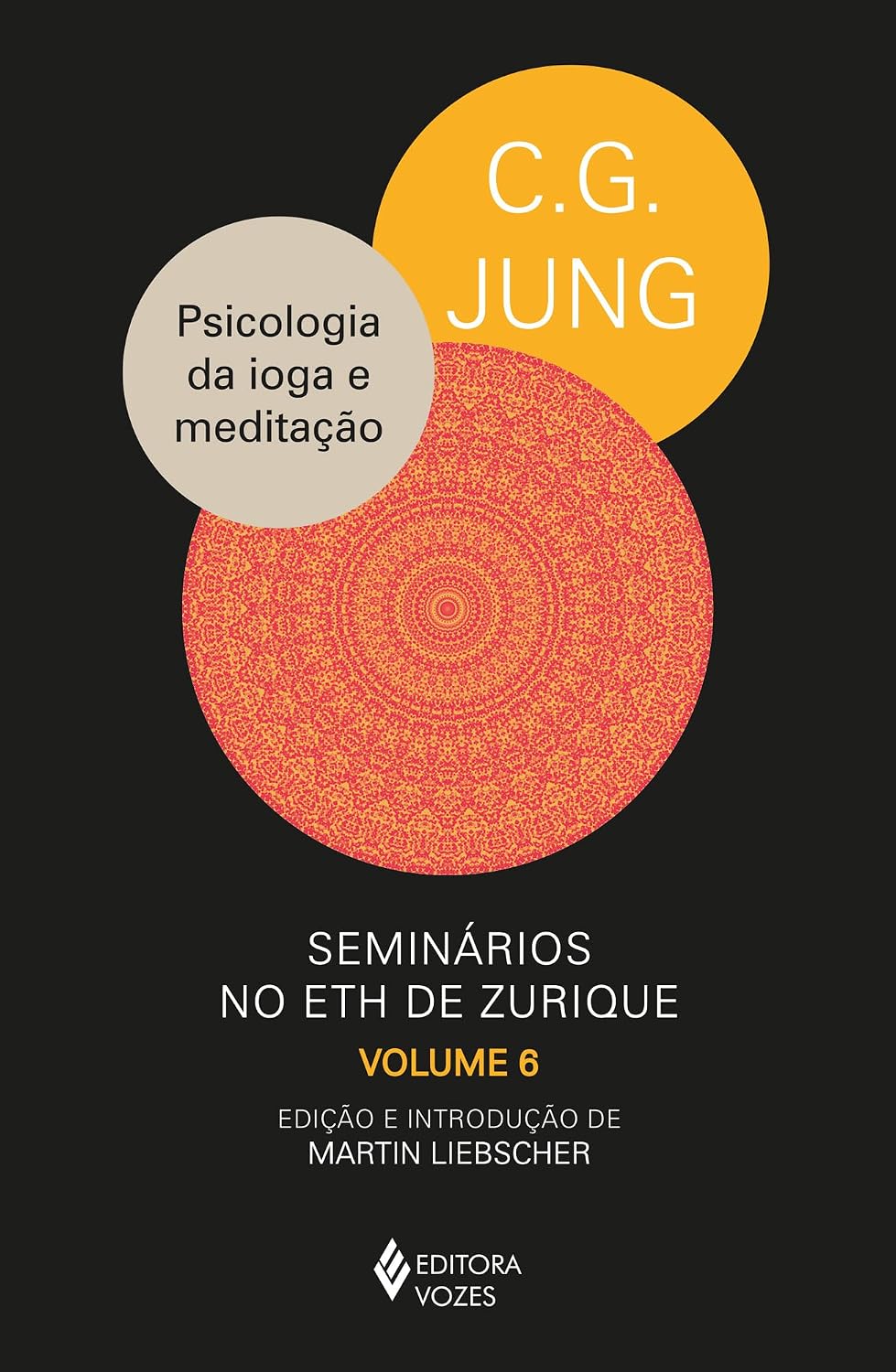 ler totalmente Psicologia da ioga e meditação: Seminários no ETH de Zurique - vol. 6 (1938-1940)