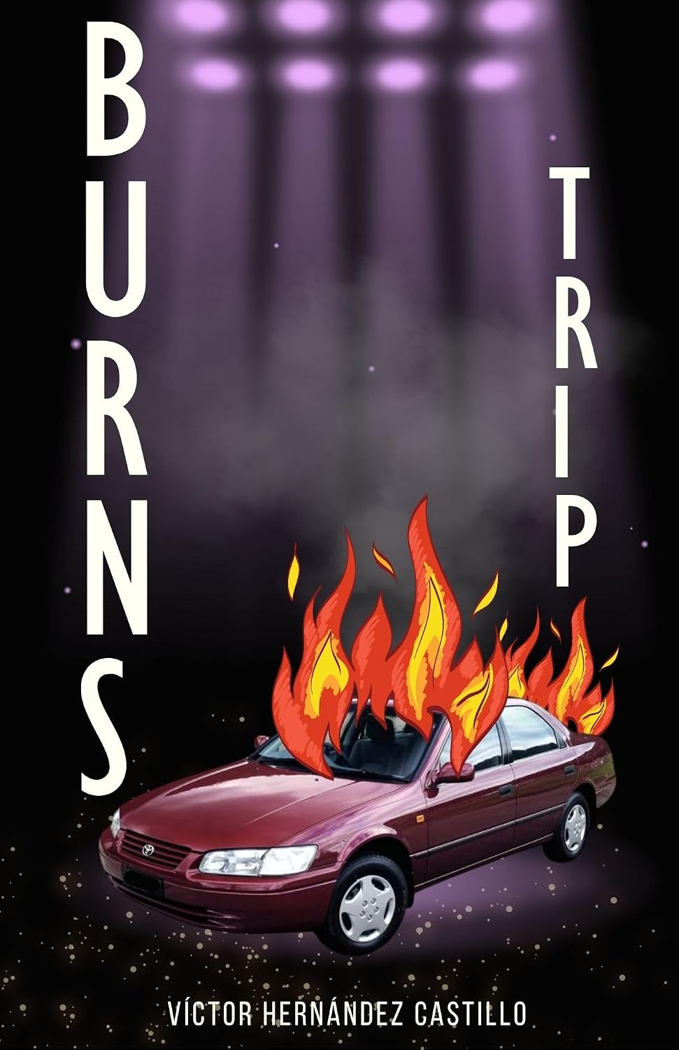 BURNS TRIP: Crónica de un viaje en llamas (Spanish Edition)