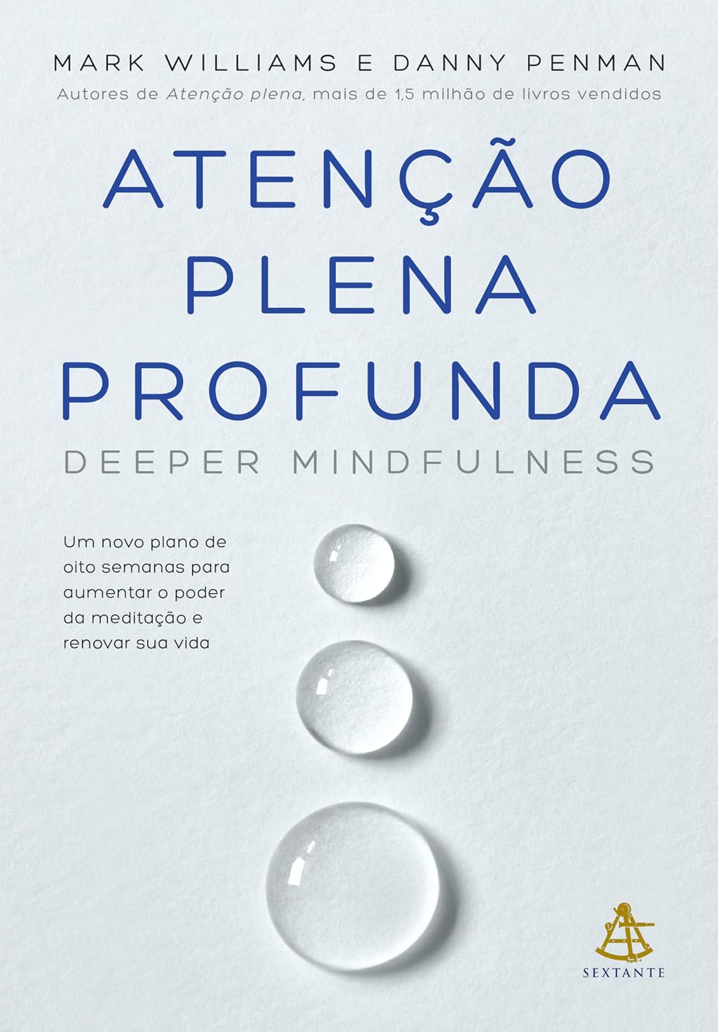 capítulo por capítulo baixar Atenção plena profunda (Deeper Mindfulness): Um novo plano de oito semanas para aumentar o poder da meditação e renovar sua vida