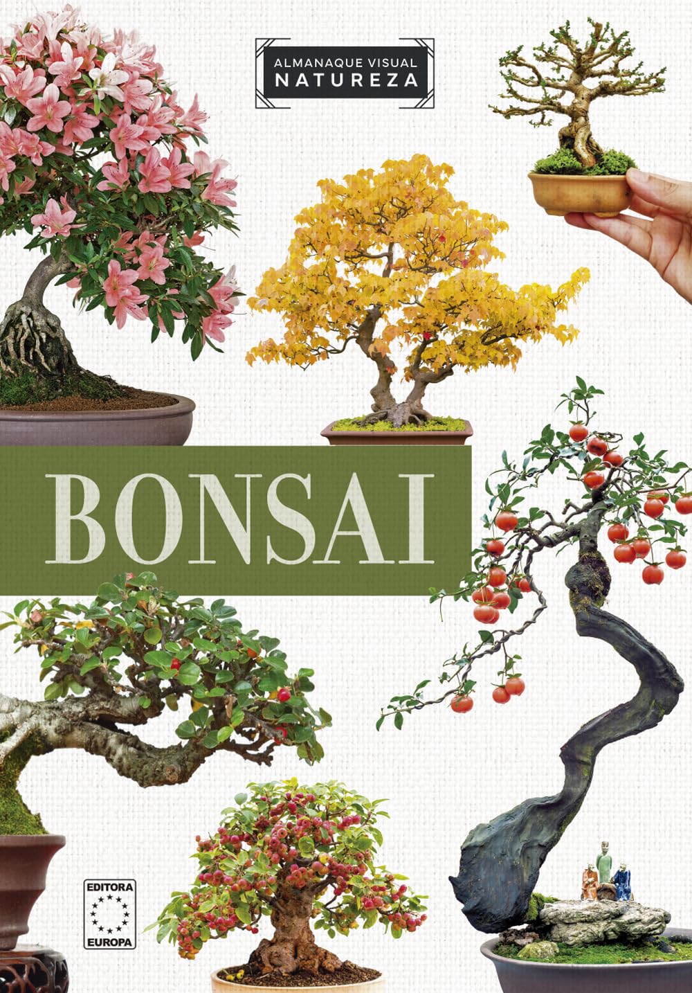 ler totalmente Almanaque Visual Natureza - Bonsai