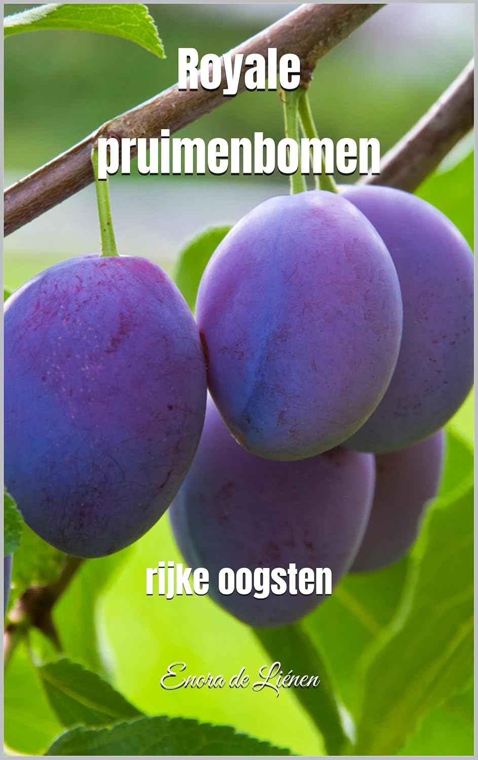 Royale pruimenbomen: rijke oogsten (Dutch Edition) baixar o livro de graça