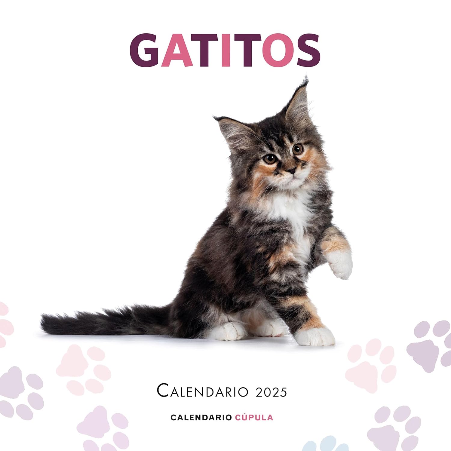 Calendario Gatitos 2025 baixar livro de graça