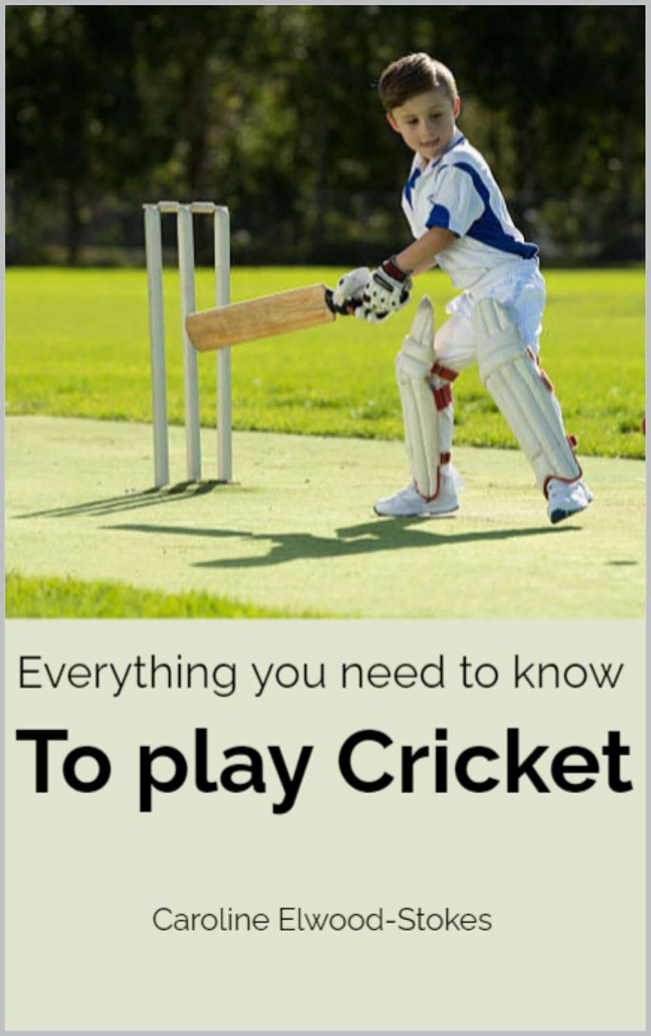 capítulo por capítulo baixar Everything you need to know To play Cricket (Everything you need to know for Cricketers Book 2) (English Edition)