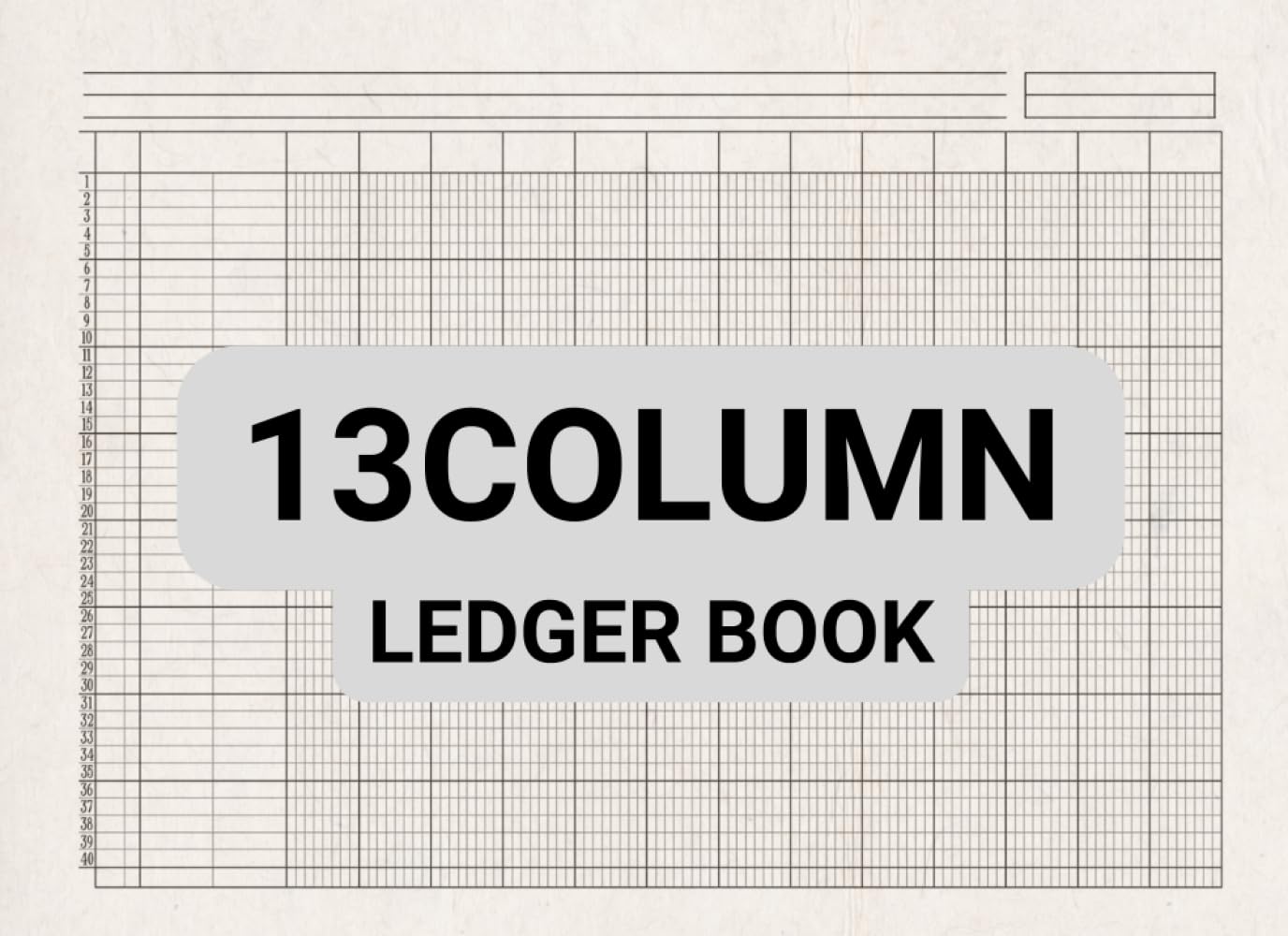 13 Column Ledger Book: General Accounting Ledger Book for Bookkeeping / Columnar Pad 13 Column / Income and Expense Log Book for Small Business and Personal Finance baixar o livro de graça