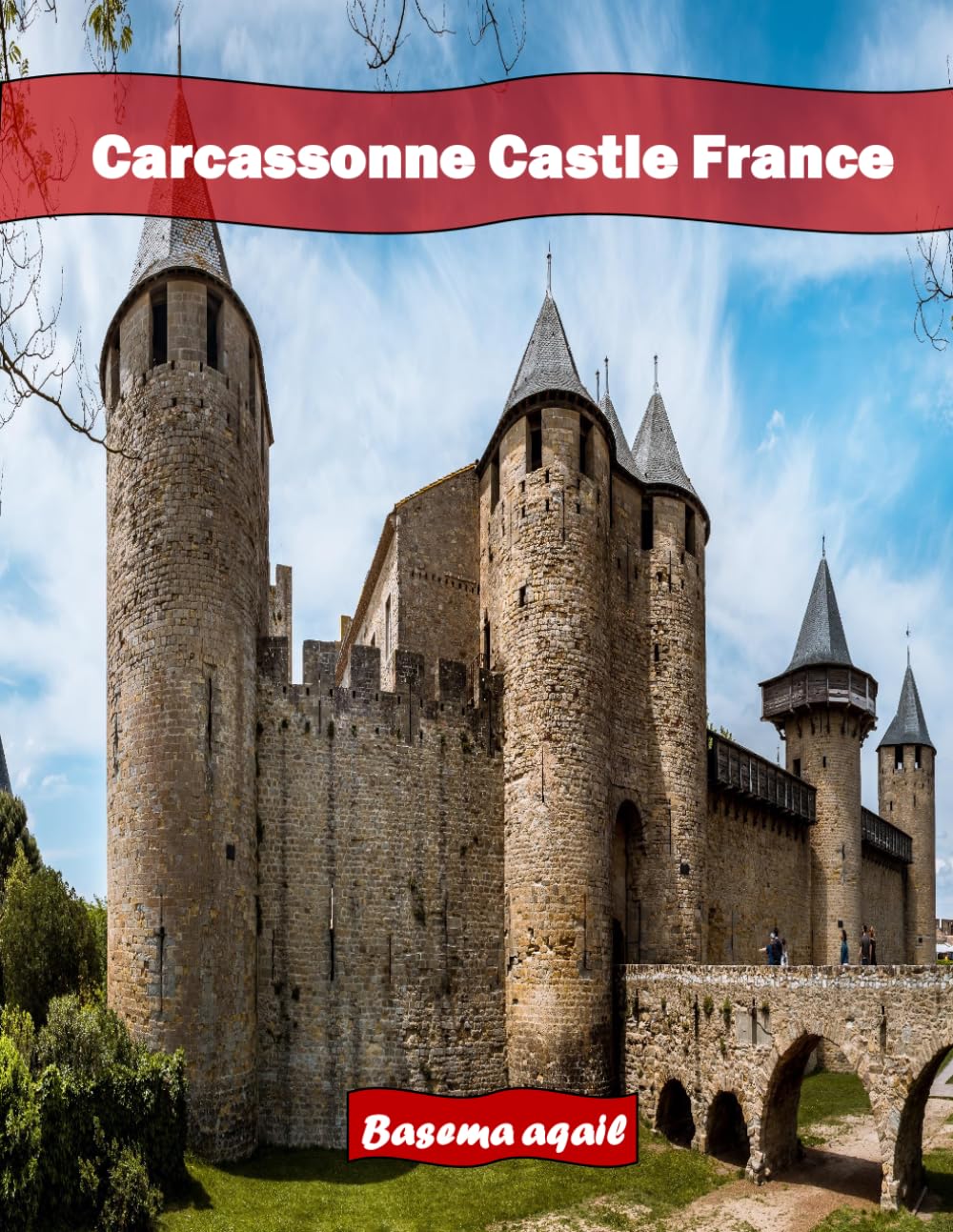 Carcassonne Castle France: A Premium Visual Journey for Travel and Photography Lovers baixar o livro de graça