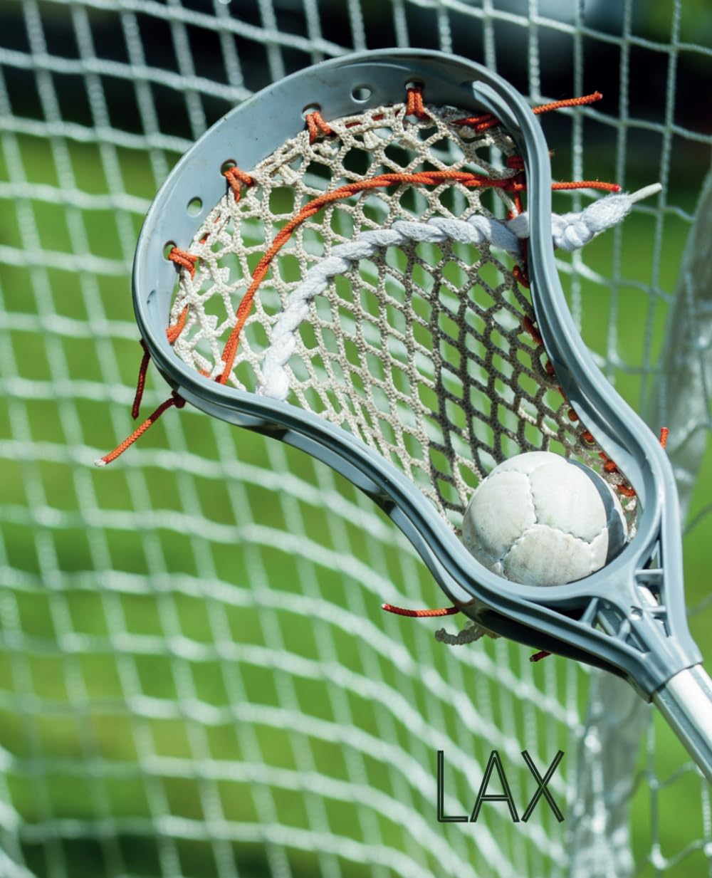 Lacrosse Notebook - A Lined Journal for LAX Players, Fans and Coaches baixar livro de graça