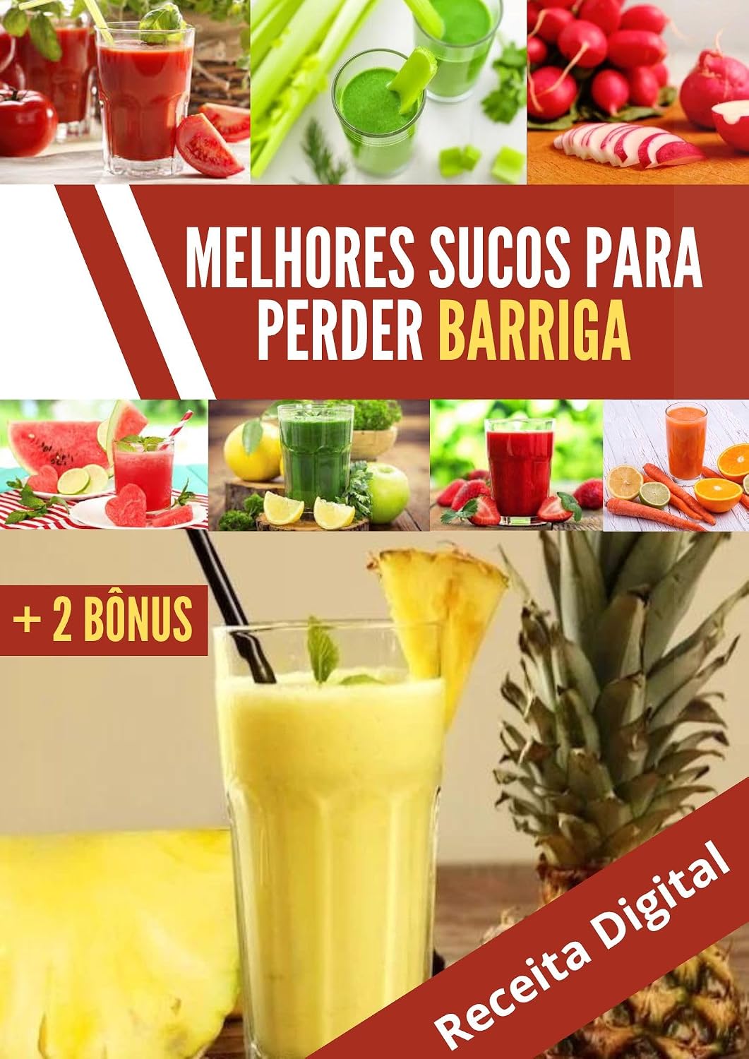 Receita de suco Detox para emagrecer e perder barriga: Resultado em 7 dias baixar o livro de graça