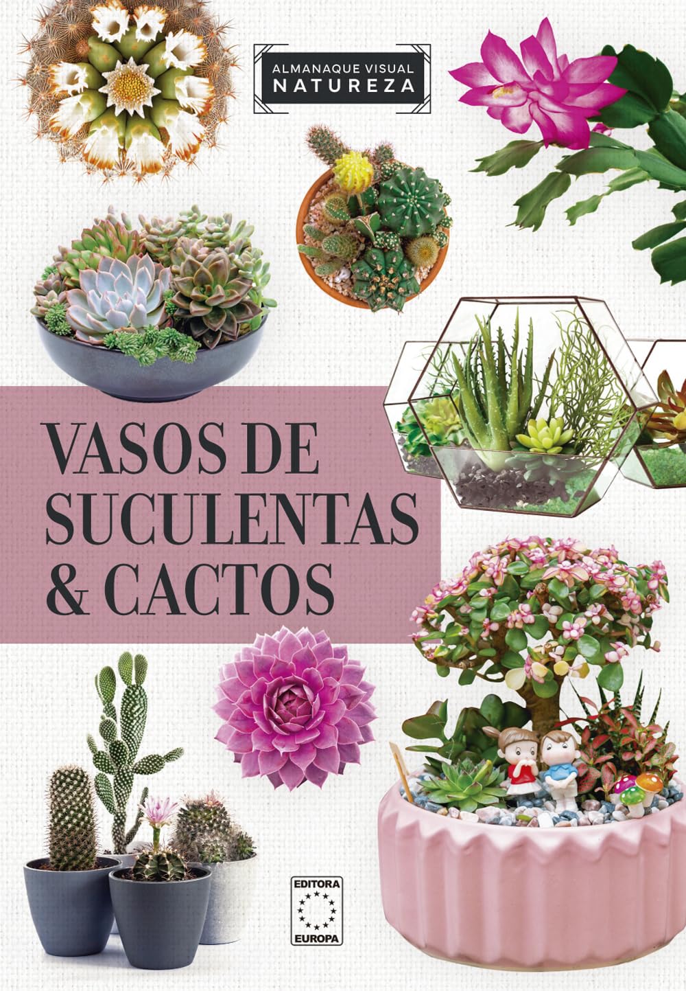Almanaque Visual Natureza - Vasos de Suculentas & Cactos baixar livro de graça