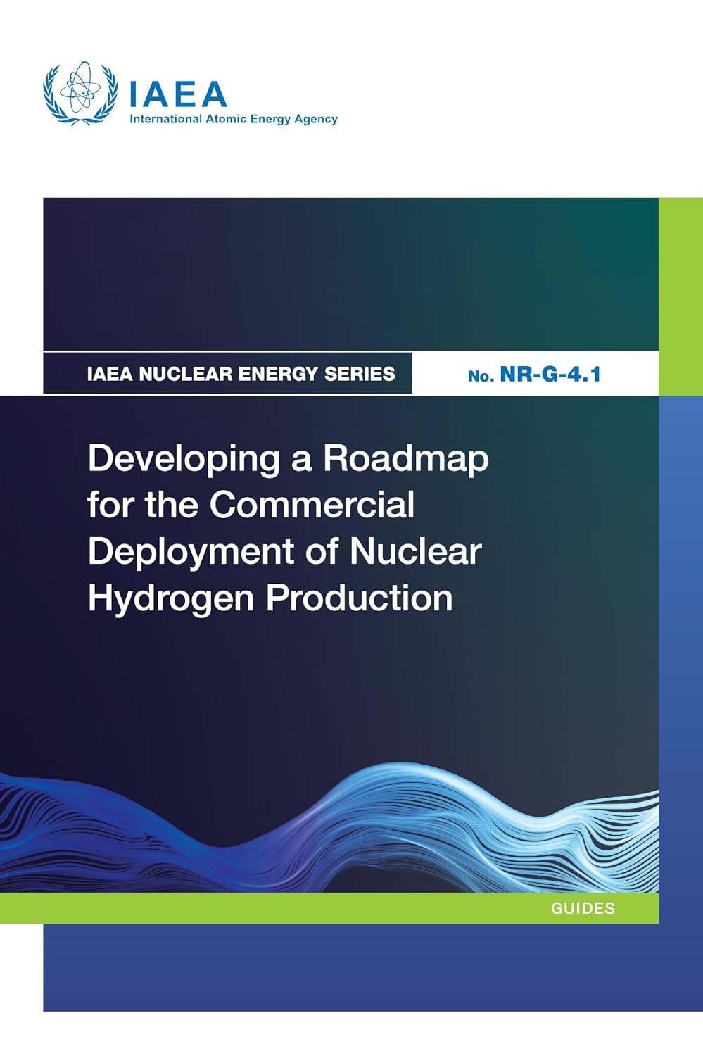 capítulo por capítulo baixar Developing a Roadmap for the Commercial Deployment of Nuclear Hydrogen Production (IAEA Nuclear Energy Series) (English Edition)