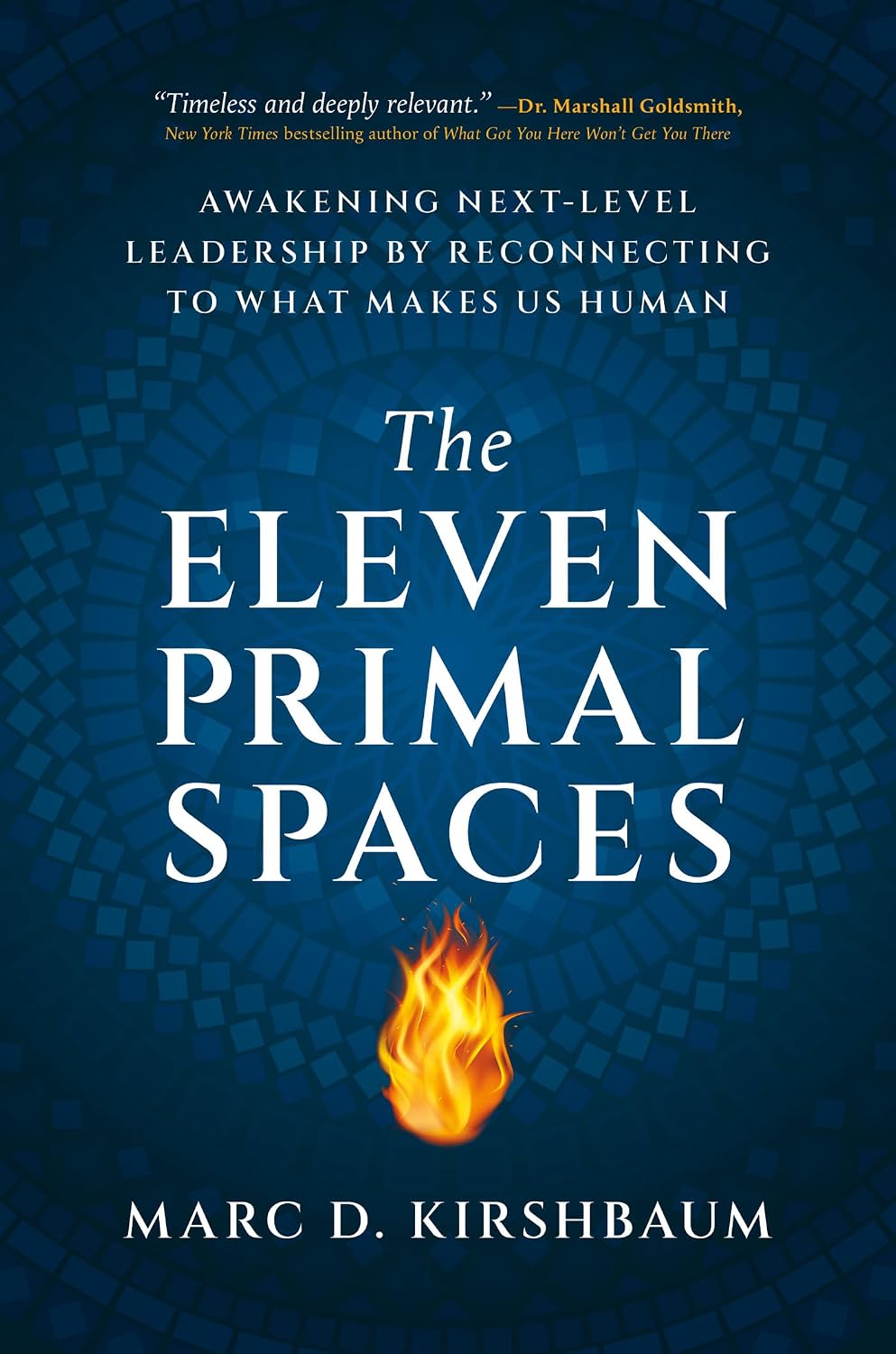 The Eleven Primal Spaces: Awakening Next-Level Leadership by Reconnecting to What Makes Us Human (English Edition) baixar livro de graça