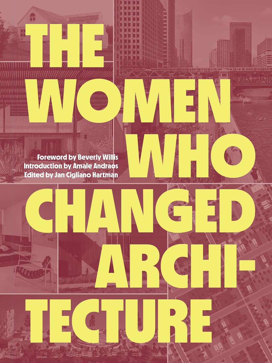The Women Who Changed Architecture (English Edition) baixar o livro de graça