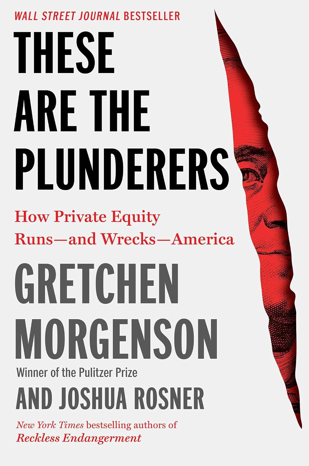 capítulo por capítulo baixar These Are the Plunderers: How Private Equity Runs—and Wrecks—America (English Edition)