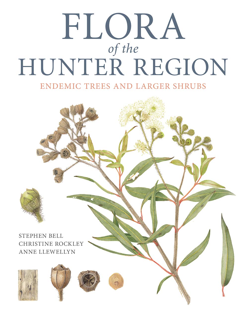 Flora of the Hunter Region: Endemic Trees and Larger Shrubs (English Edition) baixar livro de graça