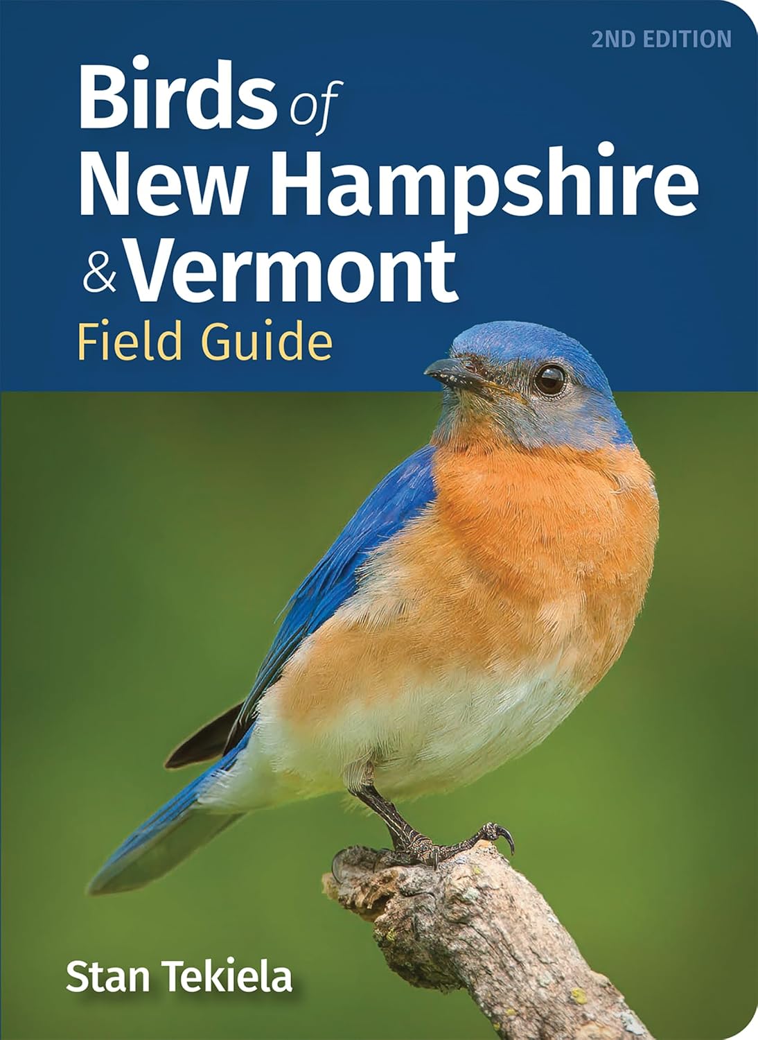 Birds of New Hampshire & Vermont Field Guide (Bird Identification Guides) (English Edition) baixar livro de graça