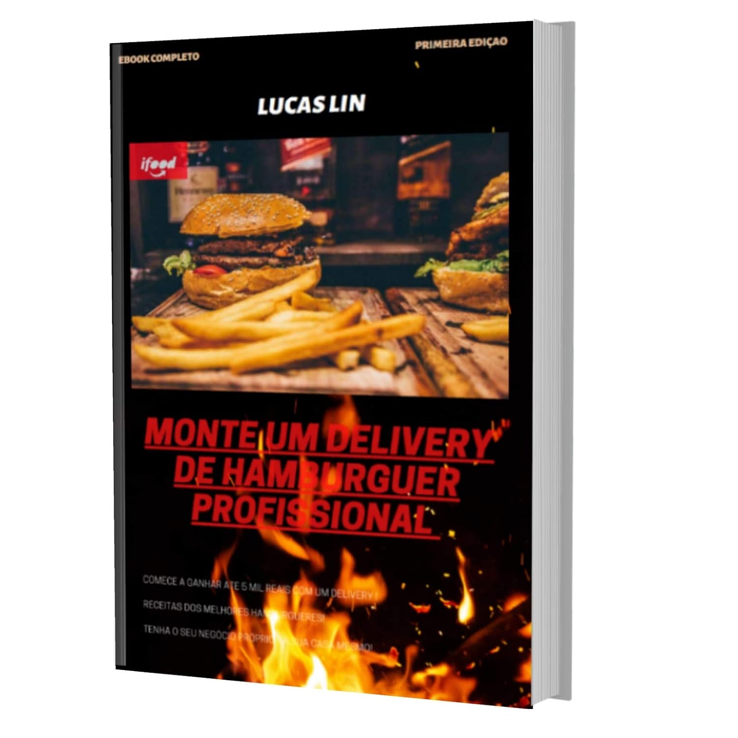 Monte Um Delivery De Hambúrguer Profissional baixar livro de graça