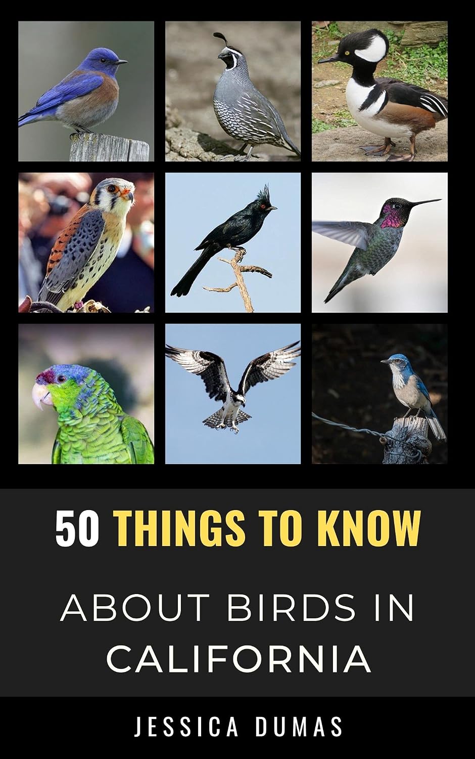 ler totalmente 50 Things to Know About Birds in California: Birdwatching Guide, Bird Identification, Local Species, & Backyard Birds (50 Things to Know About Birds &... and regional bird books) (English Edition)