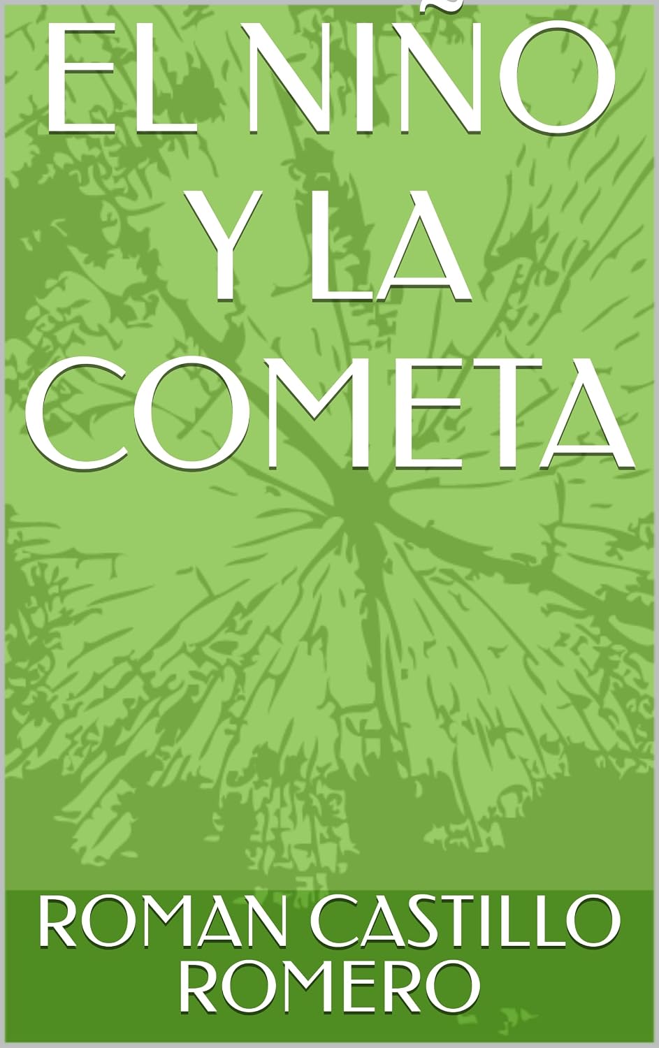 ler totalmente EL NIÑO Y LA COMETA (Spanish Edition)