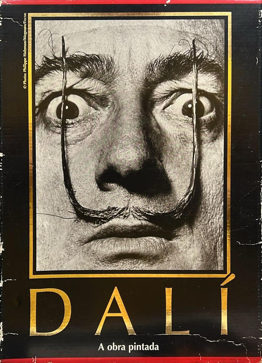 ler totalmente Dali: The Paintings
