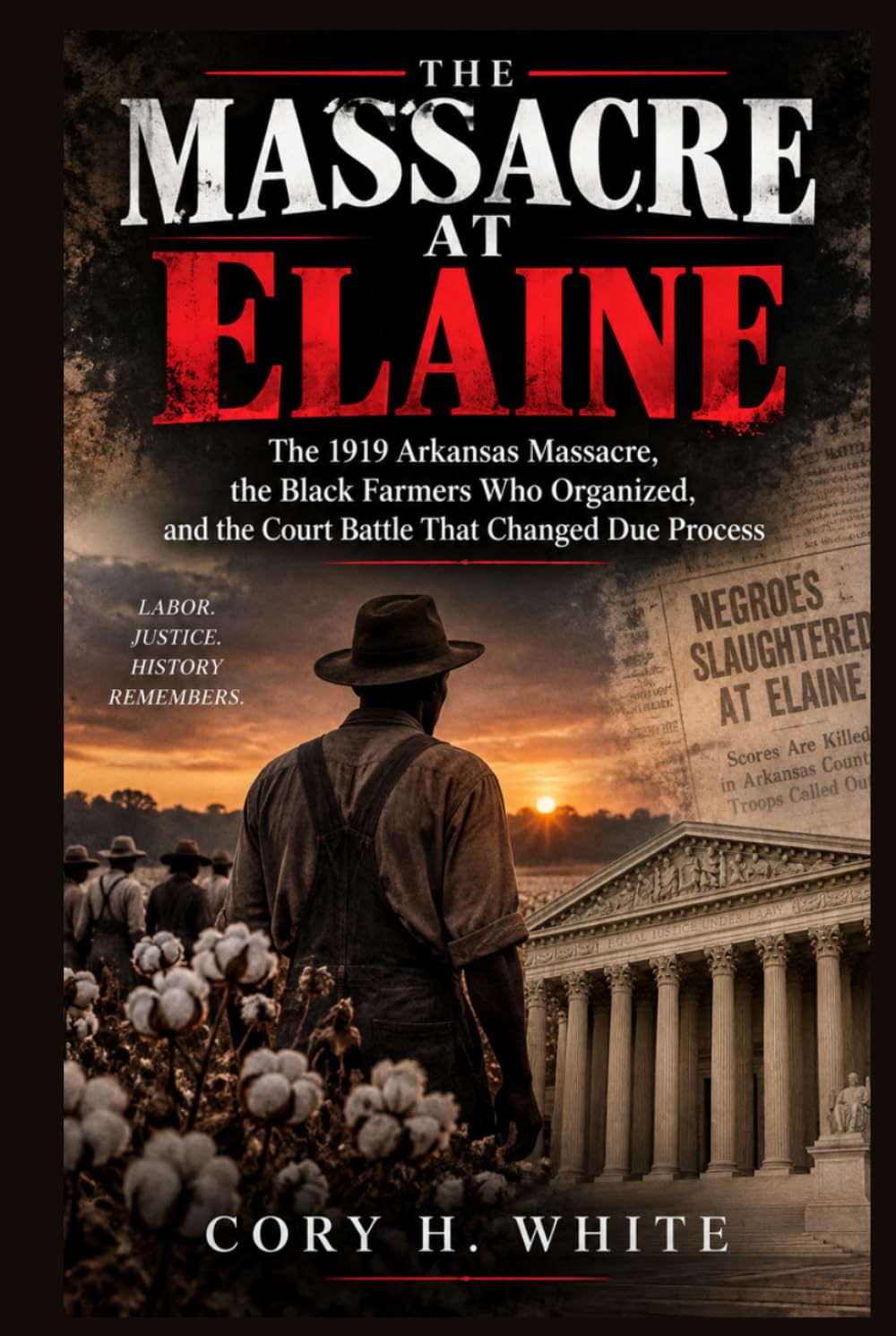 THE MASSACRE AT ELAINE: The 1919 Arkansas Massacre, the Black Farmers Who Organized, and the Court Battle That Changed Due Process baixar o livro de graça