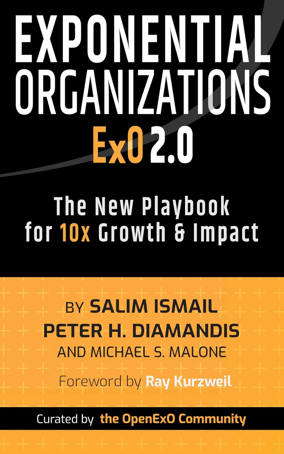 Exponential Organizations 2.0: The New Playbook for 10x Growth and Impact (English Edition) baixar o livro de graça