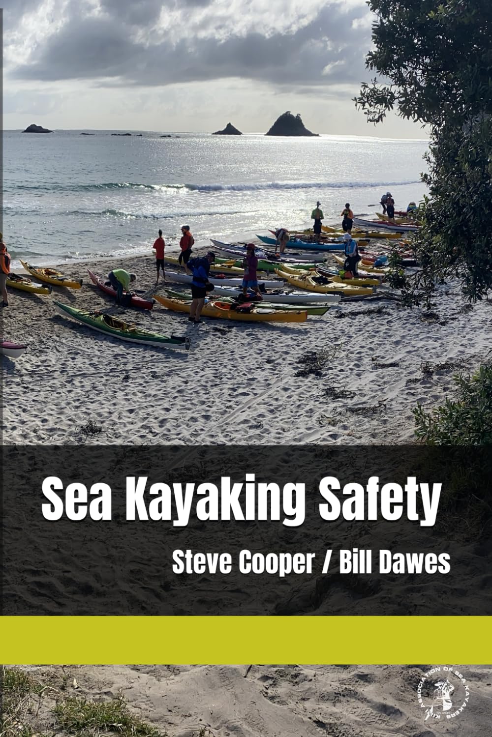 ler totalmente Sea Kayaking Safety: Premium Edition