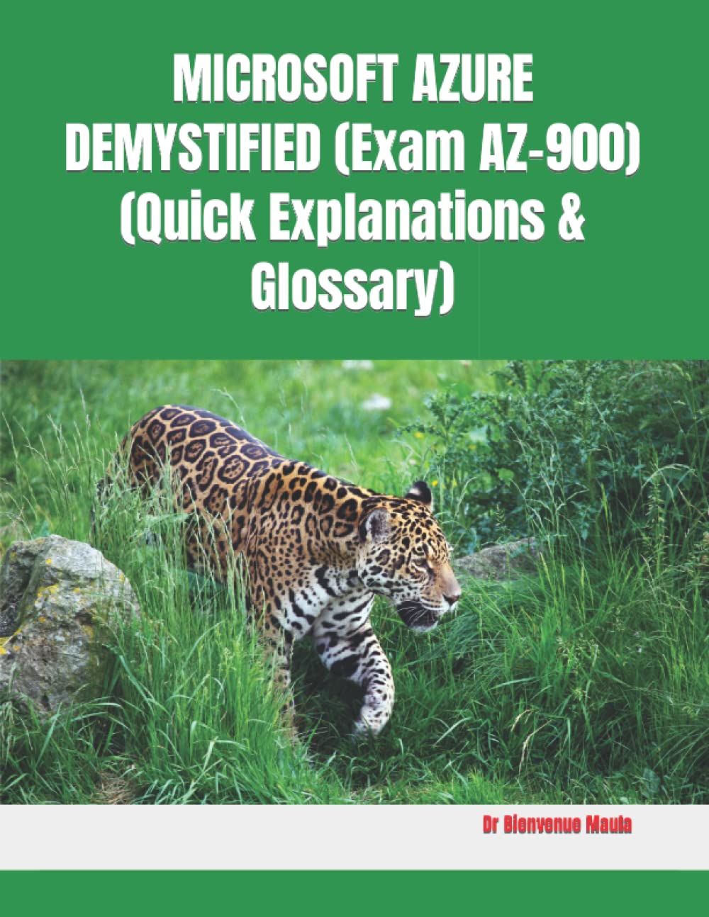 MICROSOFT AZURE DEMYSTIFIED (Exam AZ-900) (Quick Explanations & Glossary) baixar o livro de graça
