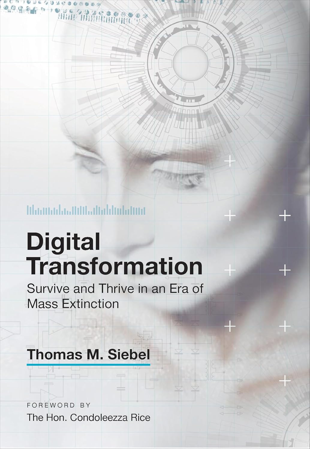 Digital Transformation: Survive and Thrive in an Era of Mass Extinction (English Edition) baixar livro de graça