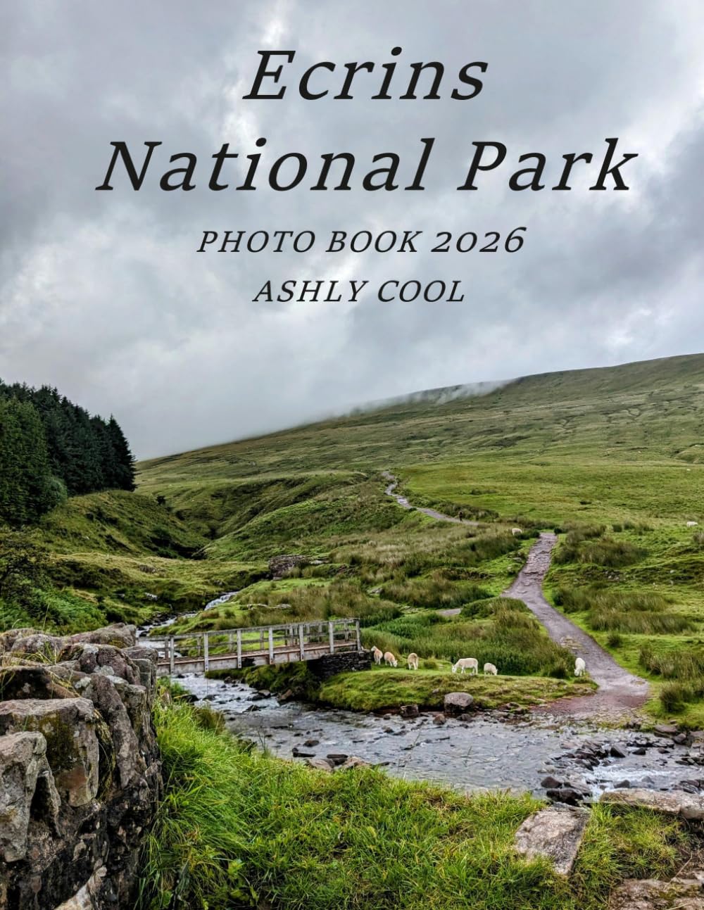 Ecrins National Park: Cool Pictures That Create An Idea For You About - Perfect Gift for tourism & travel lovers.....Relaxing & Meditation. baixar livro de graça
