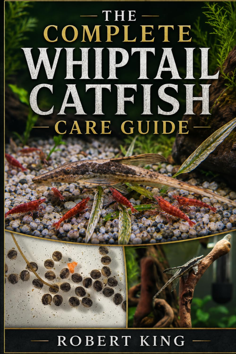 ler totalmente The Complete Whiptail Catfish Care Guide