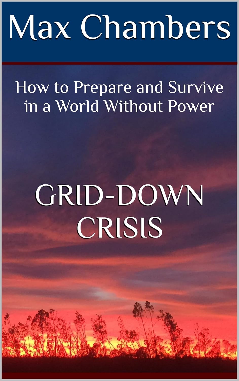 Grid-Down Crisis: How to Prepare and Survive in a World Without Power (English Edition)