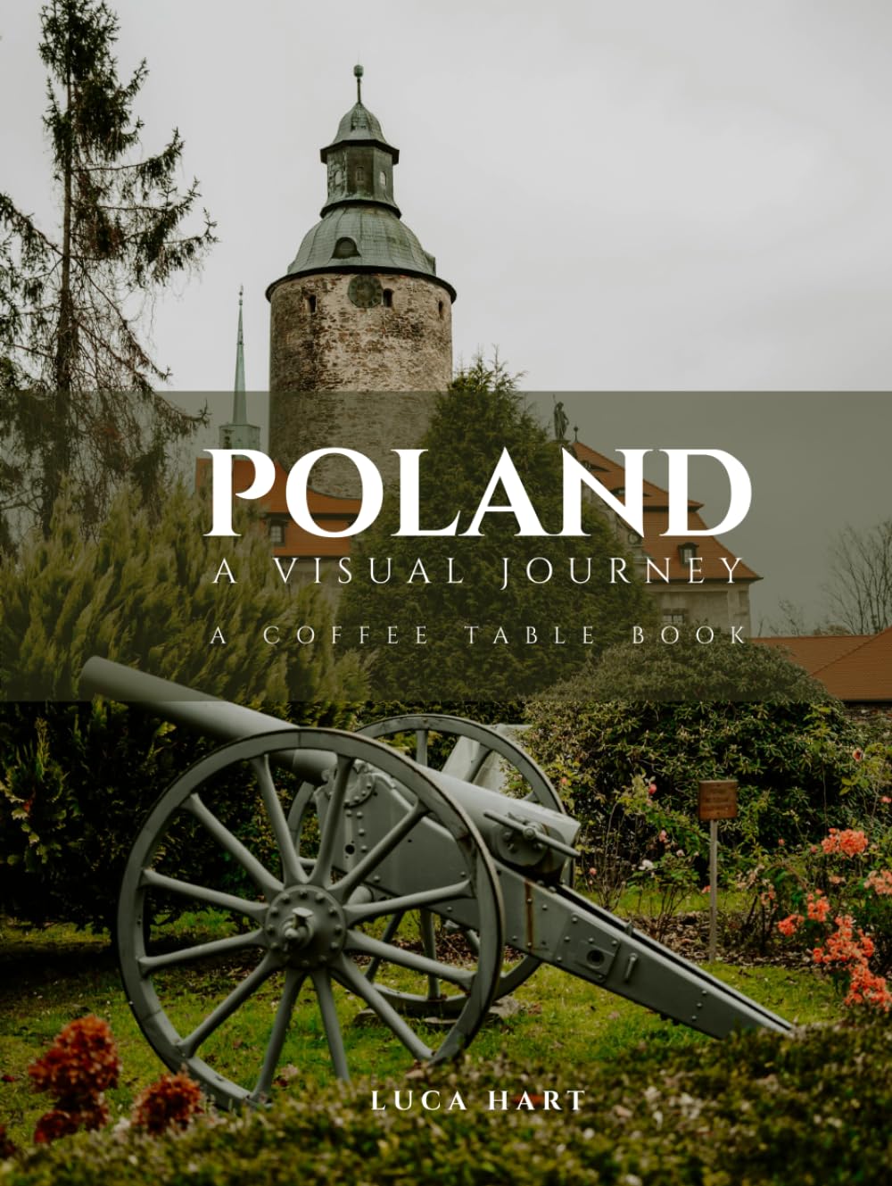 POLAND — A VISUAL JOURNEY: From Medieval Cities and Royal Castles to Mountains, Lakes & Coastlines baixar o livro de graça