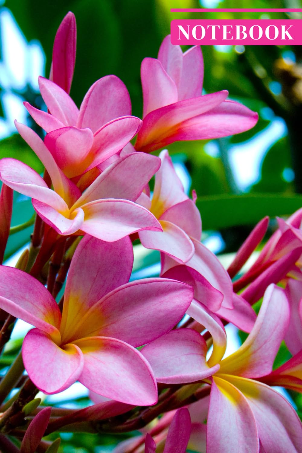 Flower Notebook (Frangipani/Plumeria Edition) | 6 X 9 size baixar livro de graça