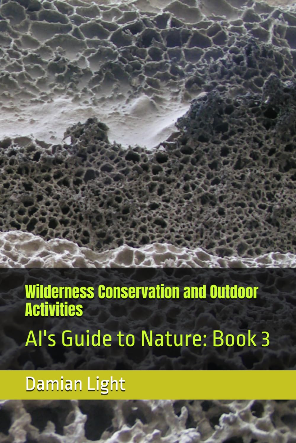 capítulo por capítulo baixar Wilderness Conservation and Outdoor Activities: AI's Guide to Nature: Book 3