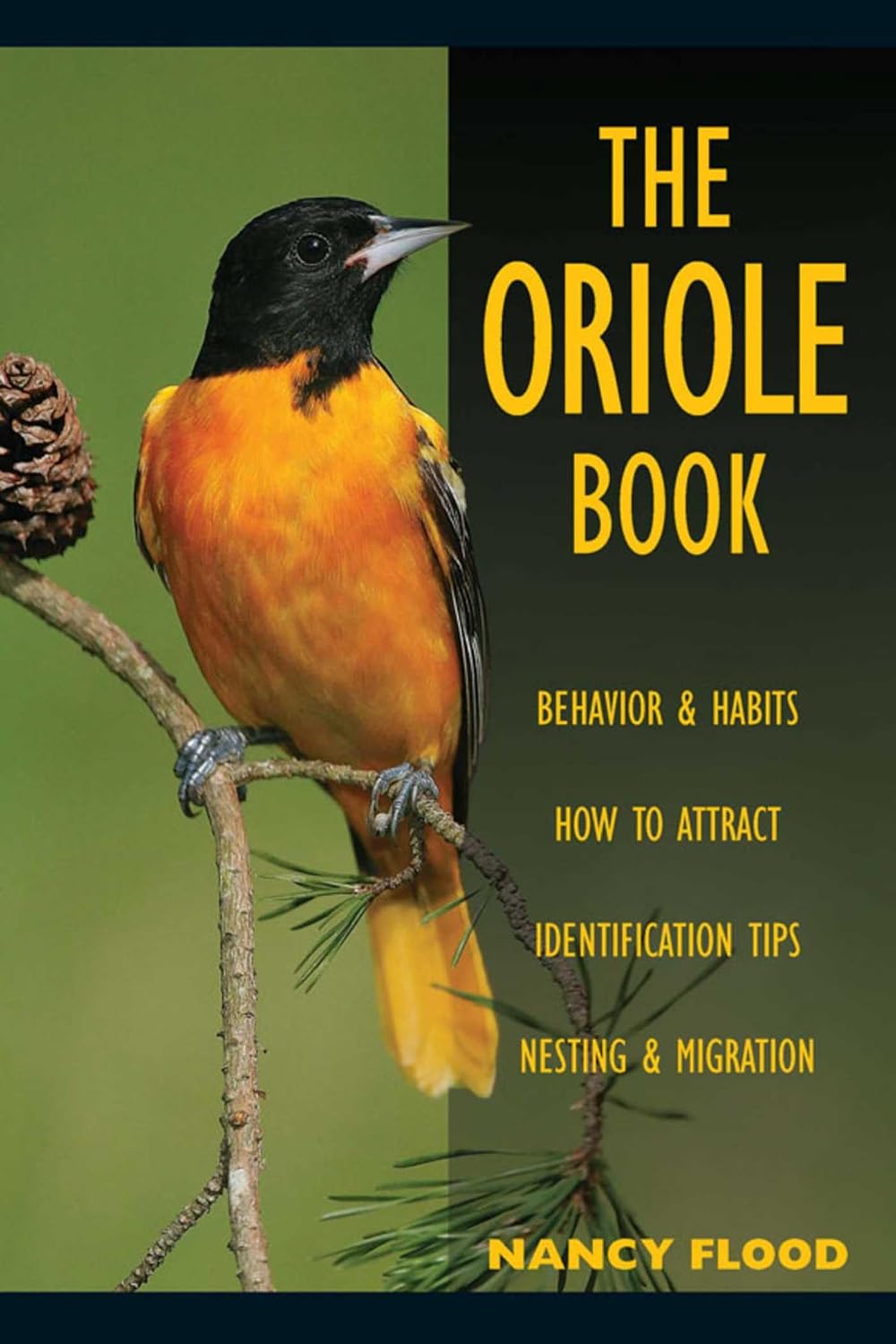 ler totalmente Oriole Book (English Edition)