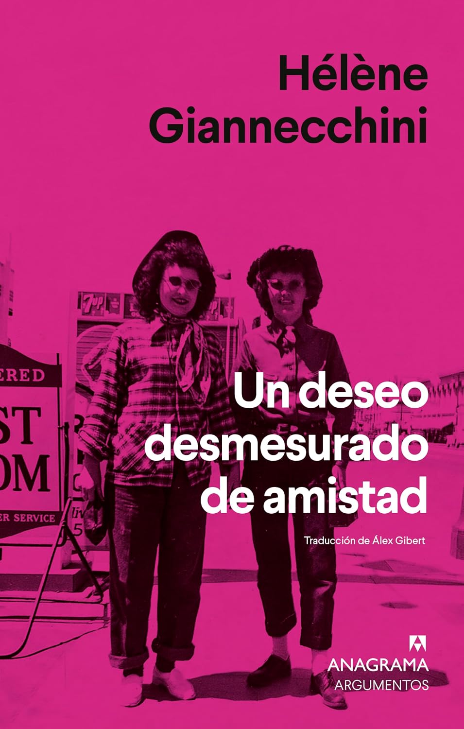 Un deseo desmesurado de amistad (Spanish Edition) baixar livro de graça