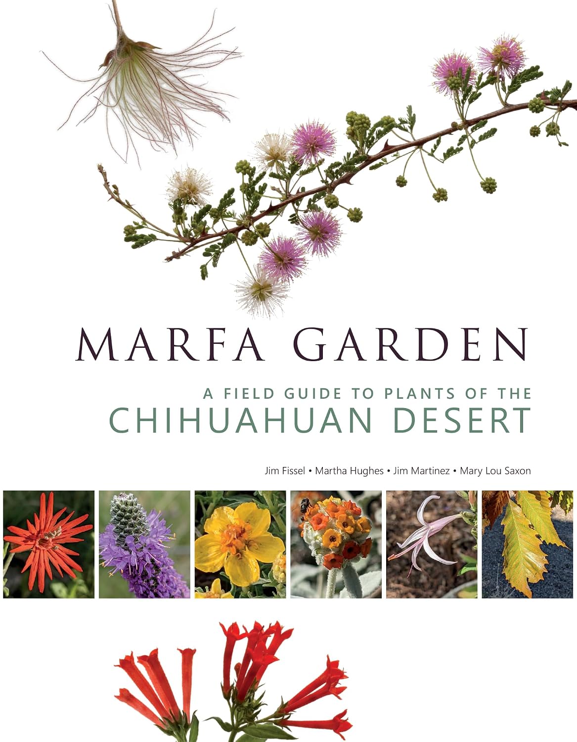 Marfa Garden: A Field Guide to Plants of the Chihuahuan Desert baixar livro de graça