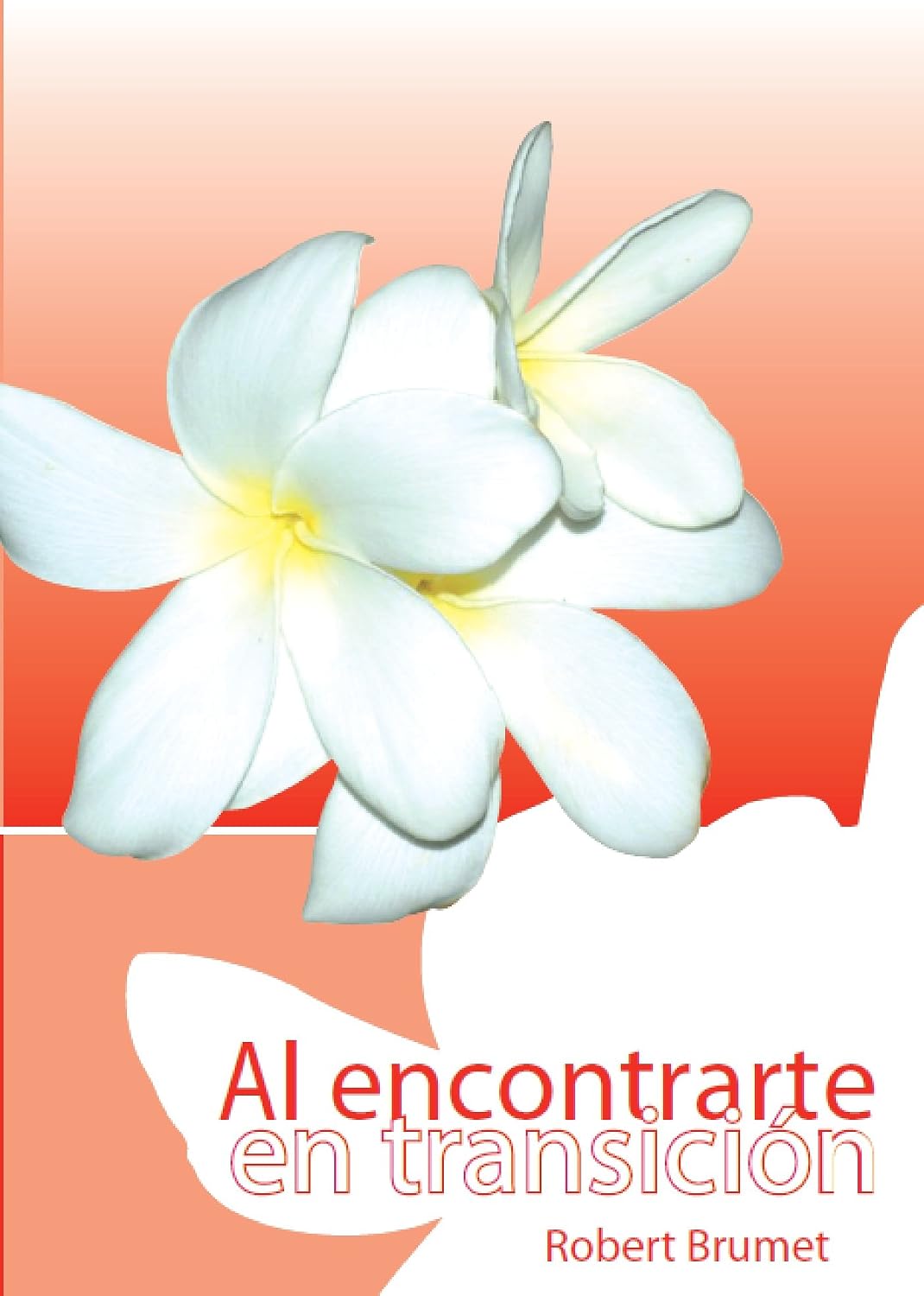 ler totalmente Al encontrarte en transición (Spanish Edition)