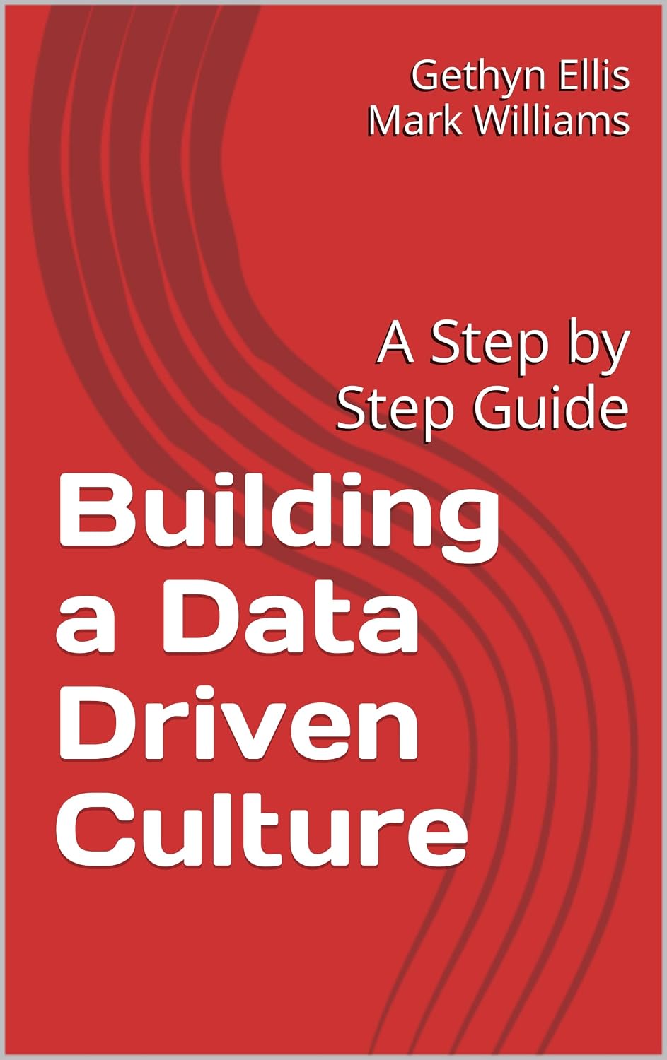 Building a Data Driven Culture: A Step by Step Guide (English Edition) baixar livro de graça