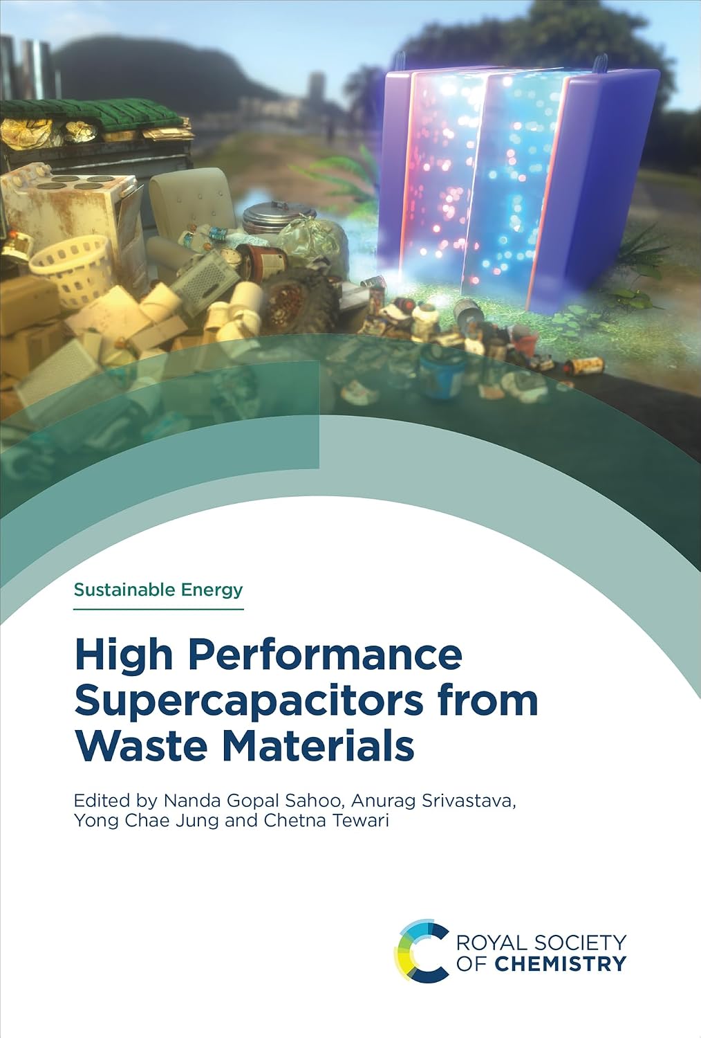 High Performance Supercapacitors from Waste Materials (English Edition)