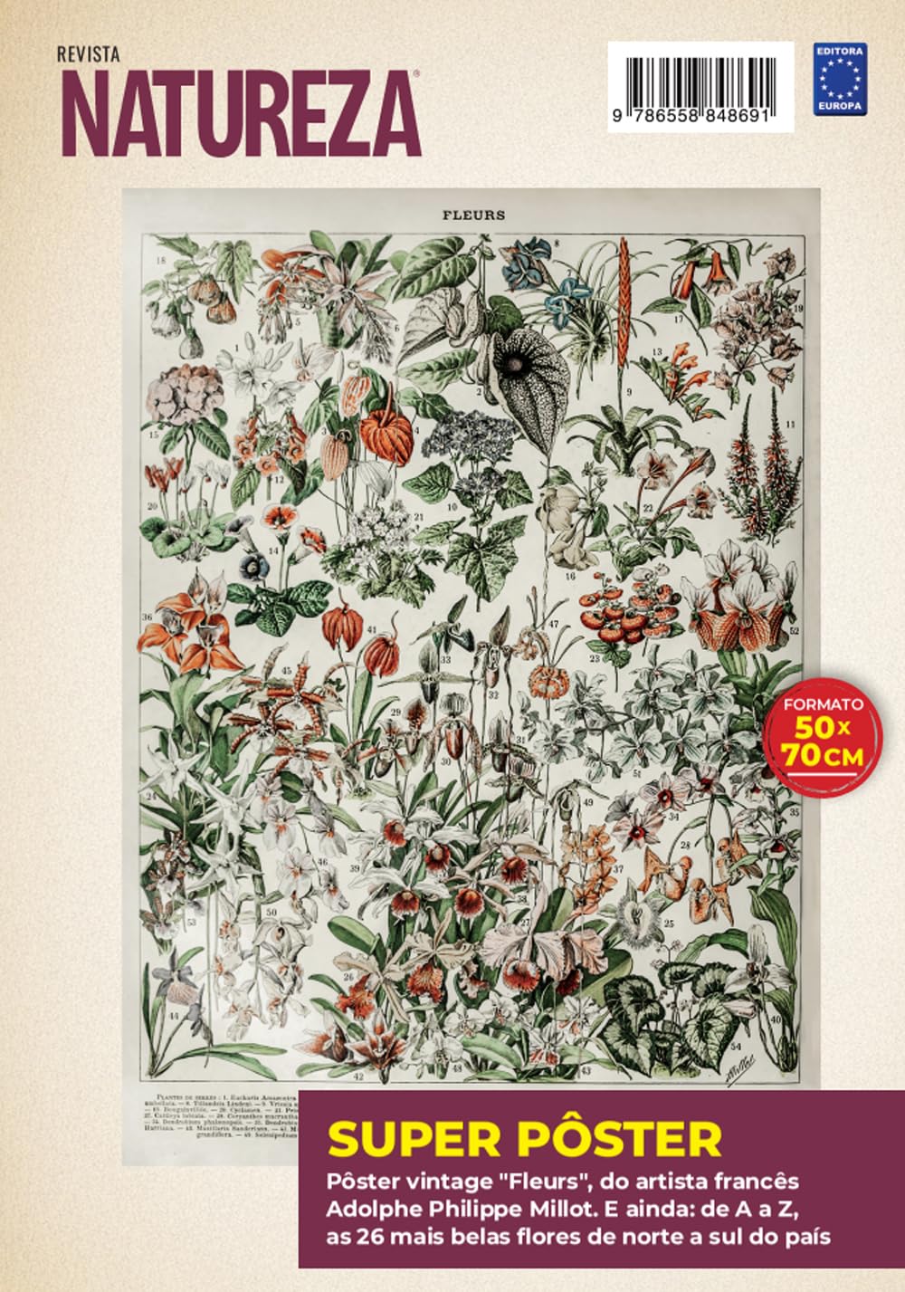 ler totalmente Adolphe Philippe Millot: Fleurs 3 - Superpôster Natureza