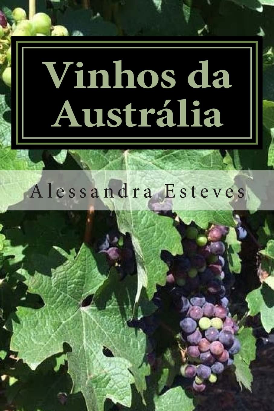 Vinhos da Austrália: O guia definitivo para você entender os vinhos australianos baixar o livro de graça