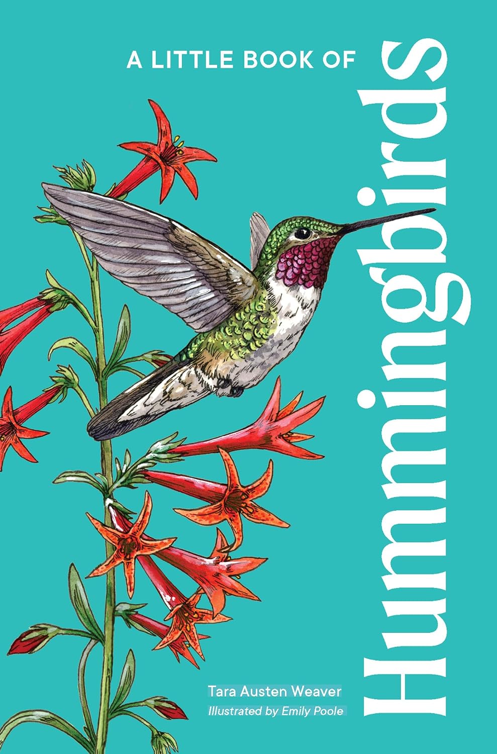 capítulo por capítulo baixar A Little Book of Hummingbirds (English Edition)