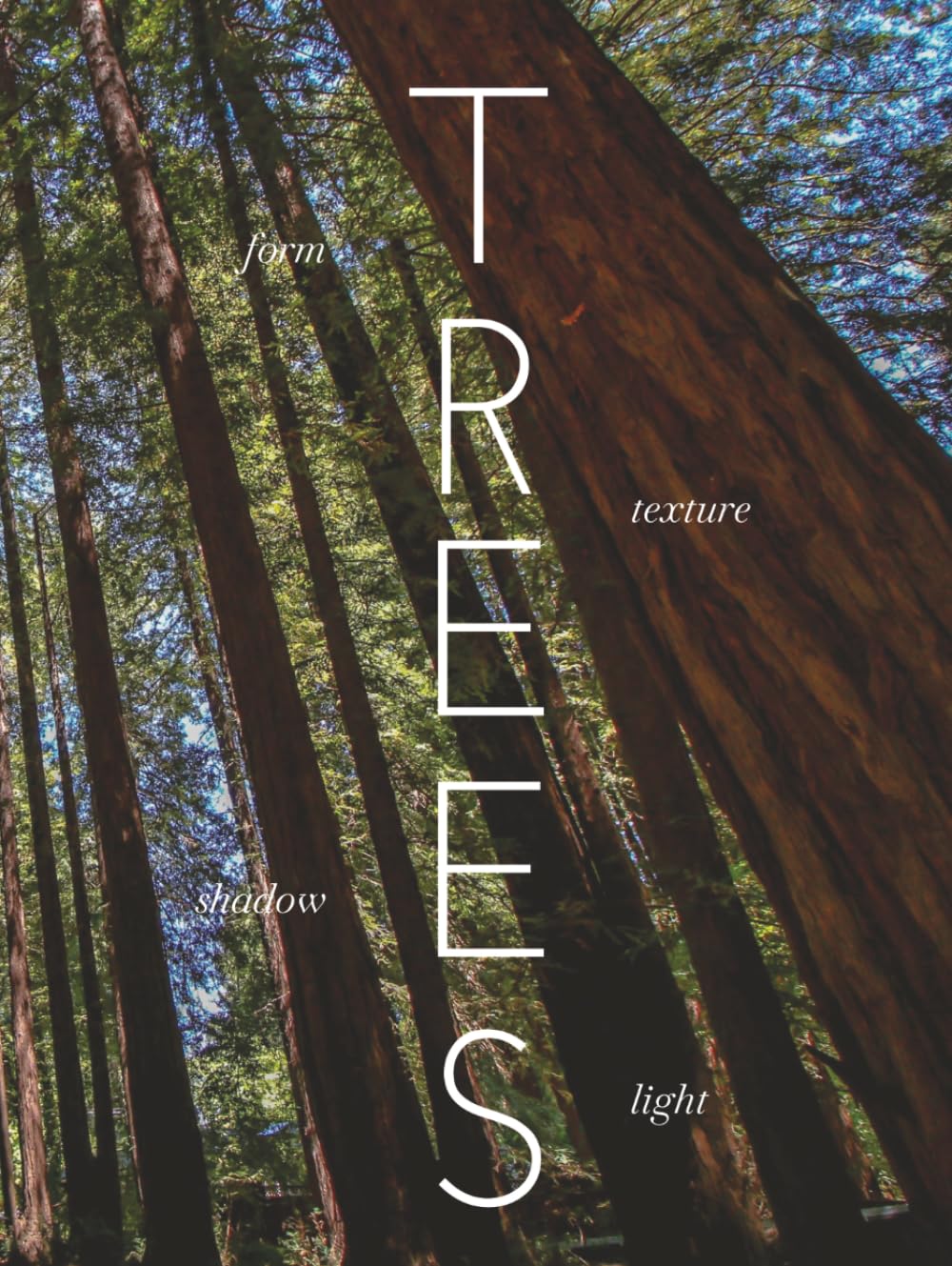 TREES: A visual journey into majesty (THE COFFEE TABLE BOOKS) baixar o livro de graça