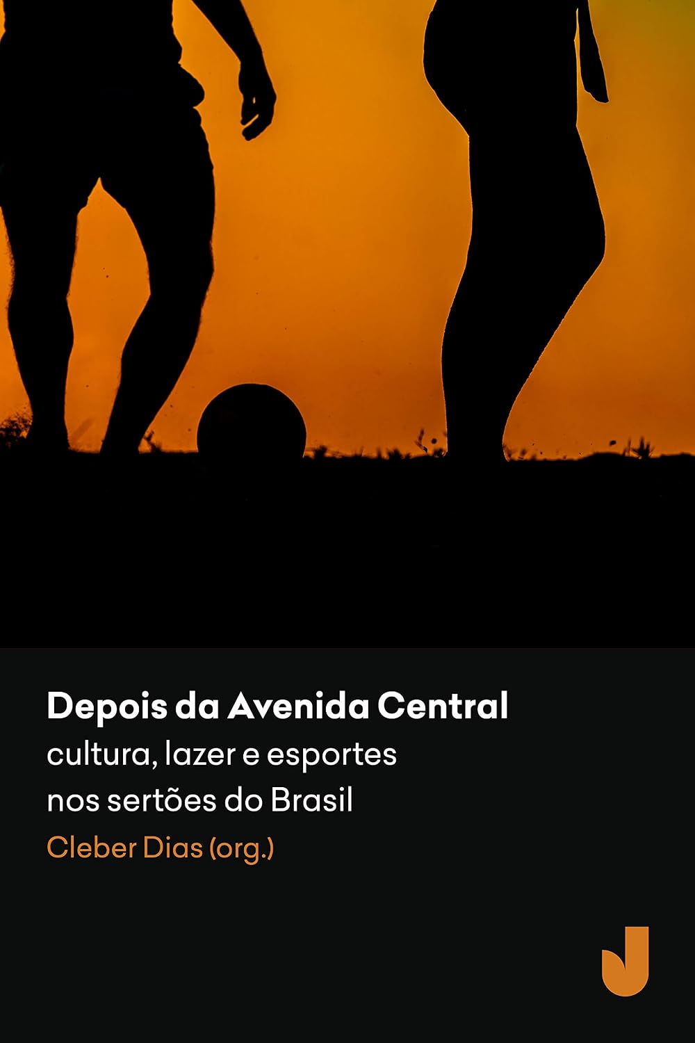 Depois da Avenida Central: cultura, lazer e esportes nos sertões do Brasil baixar livro de graça