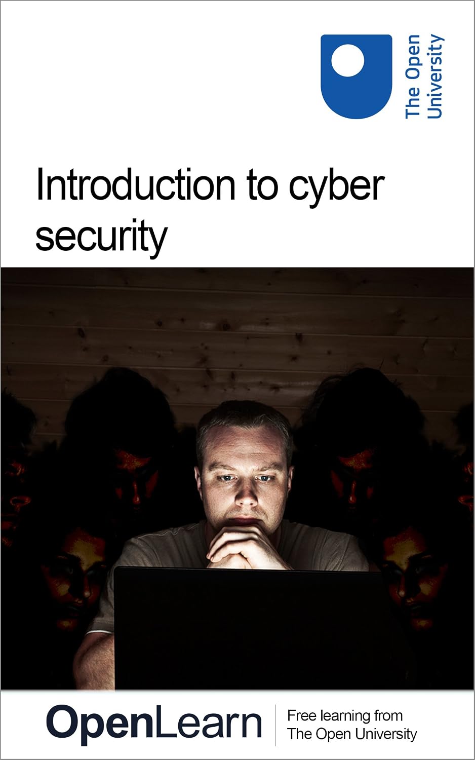 Introduction to cyber security: stay safe online (English Edition) baixar livro de graça