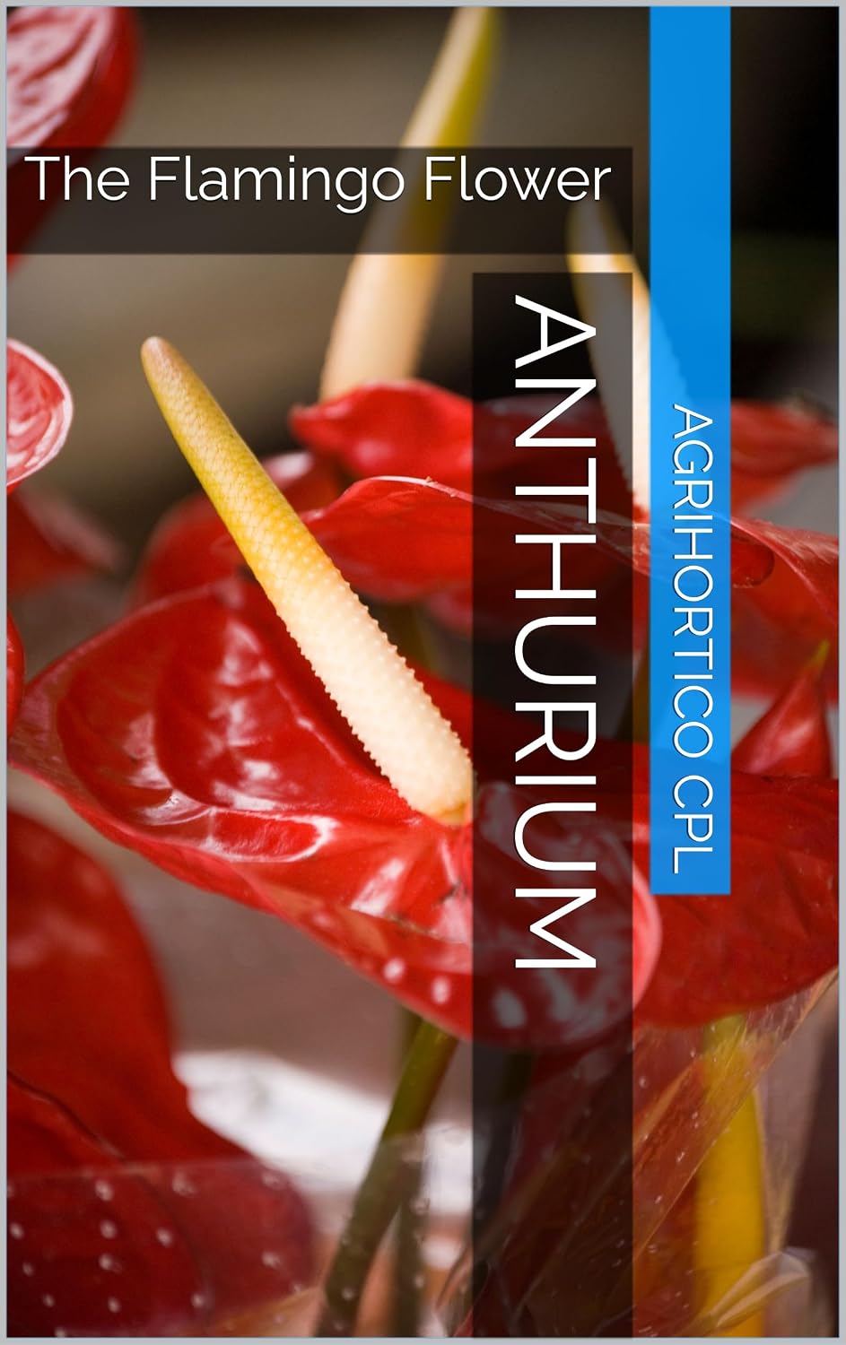Anthurium: The Flamingo Flower (All About Flowers) (English Edition) baixar livro de graça