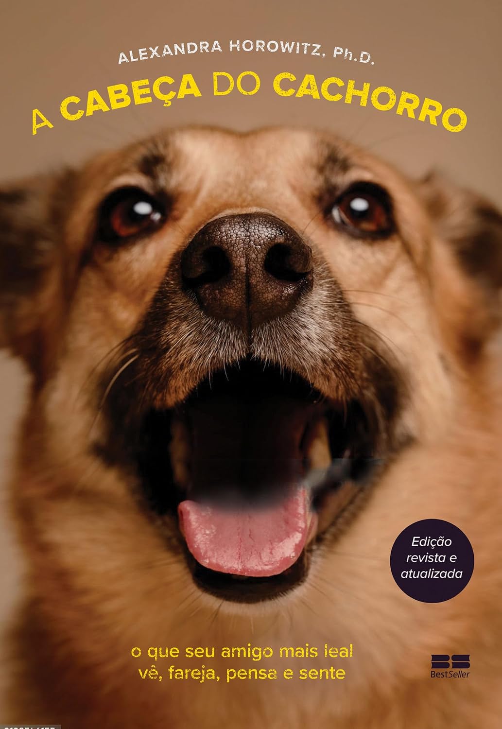 A cabeça do cachorro baixar livro de graça