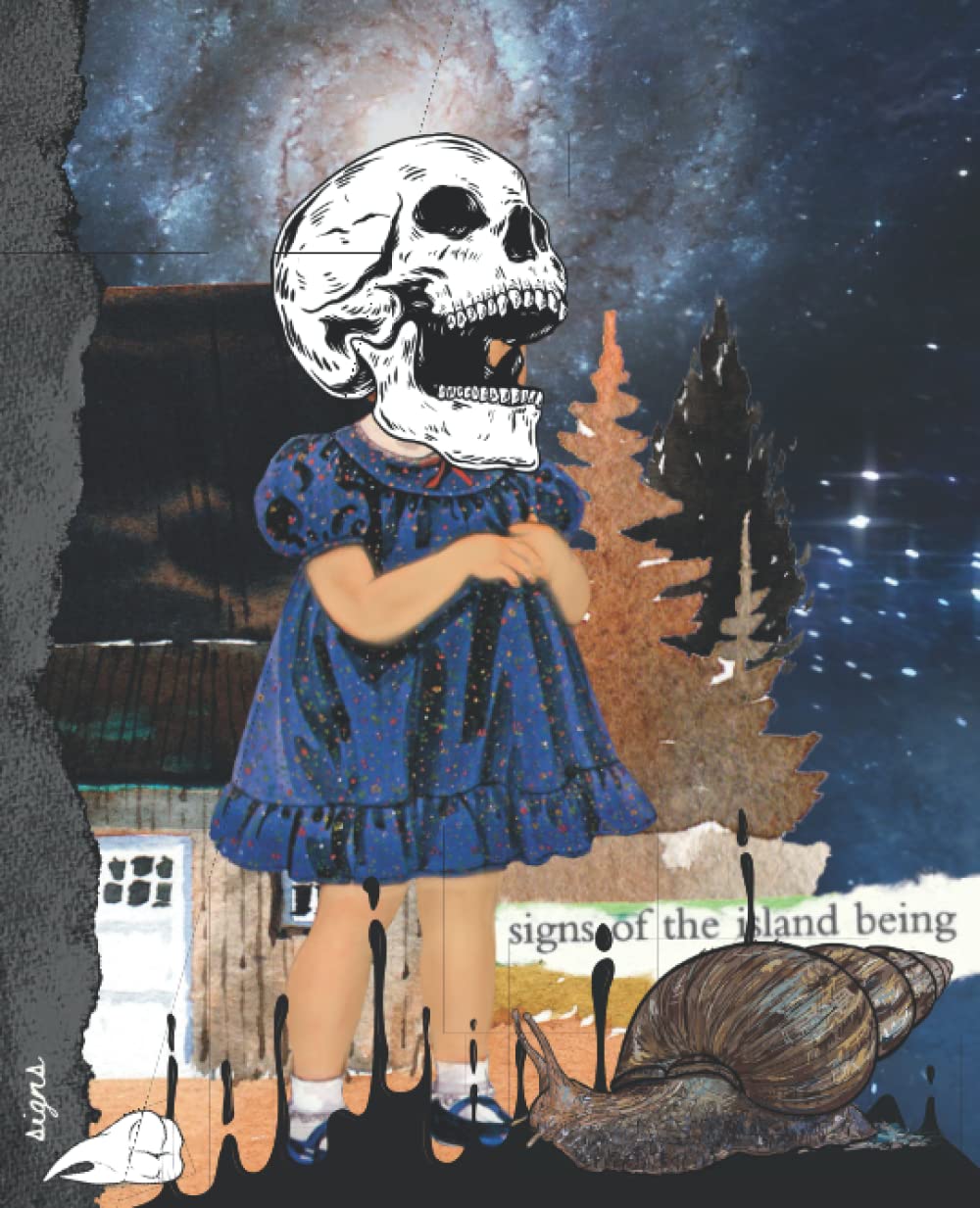 Signs: Write Your Own Scary Horror Stories With This Creepy Composition Notebook baixar o livro de graça