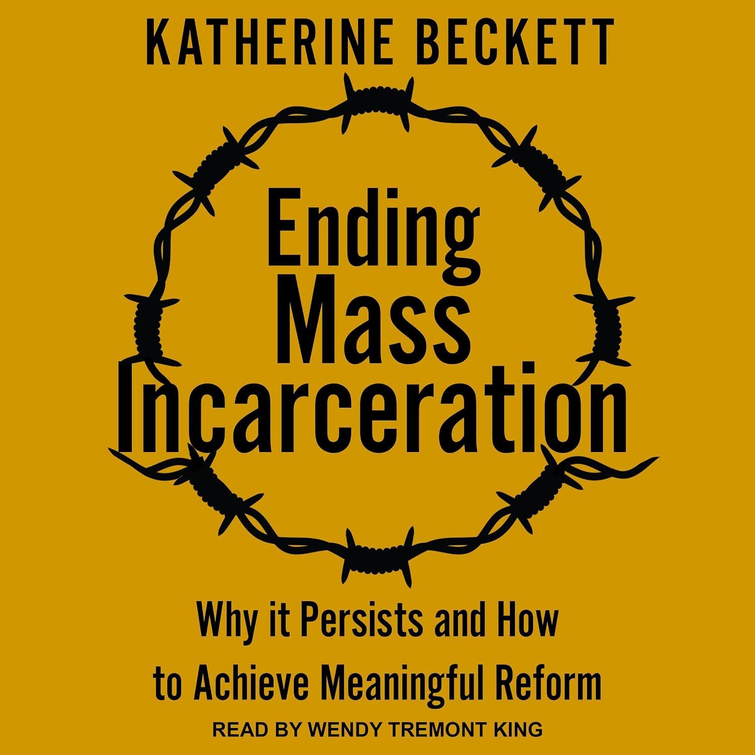 Ending Mass Incarceration: Why It Persists and How to Achieve Meaningful Reform baixar livro de graça