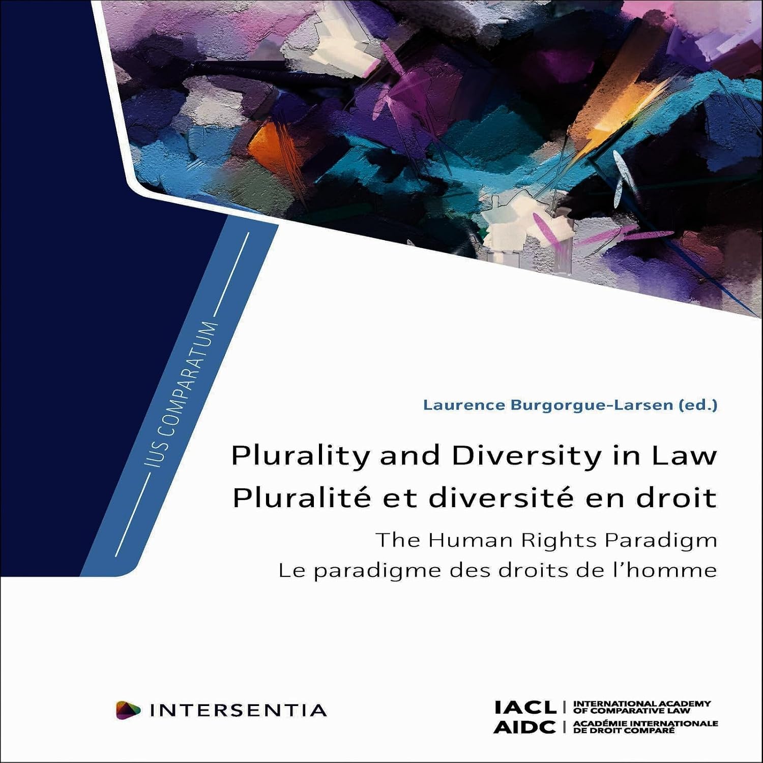 Plurality and Diversity in Law: The Human Rights Paradigm (English Edition)